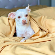 Load image into Gallery viewer, Harvest Gold Sheet Set