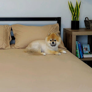 Light Mocha Sheet Set